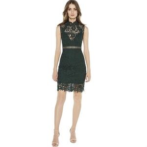 Bardot | Lace Panel Dress | Forest Green | Size XS